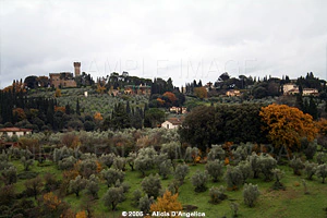 FLORENCE - View from Giardino dei Boboli II