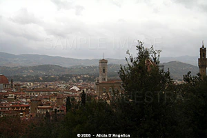 FLORENCE - View from Giardino dei Boboli III